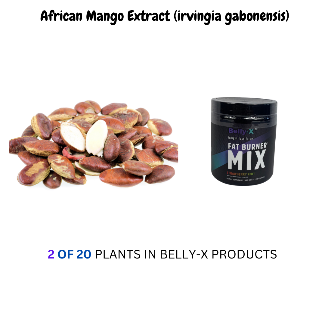 Unlocking the Secret to Weight Loss: The Power of African Mango Extract