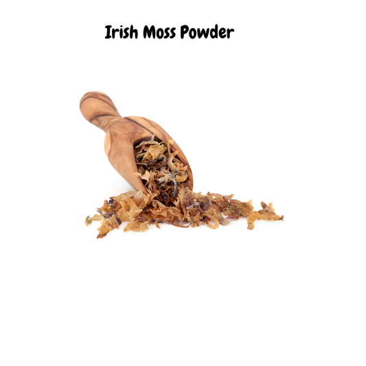 Organic Irish Moss Powder: A Superfood Secret for Weight Loss and Holistic Health